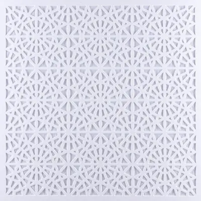 ASM6 60X60 T24 Uyumlu Dekoratif Asma Tavan Paneli