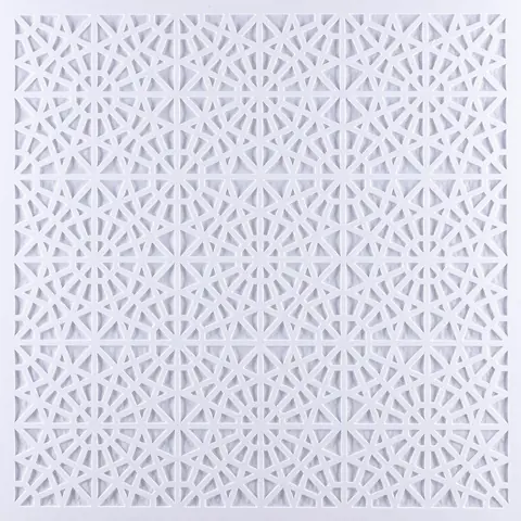 ASM6 60X60 T24 Uyumlu Dekoratif Asma Tavan Paneli